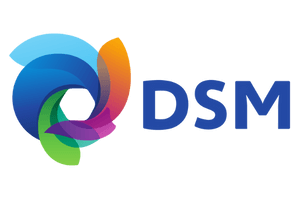 DSM Indpro Engineering, Pune - DSM