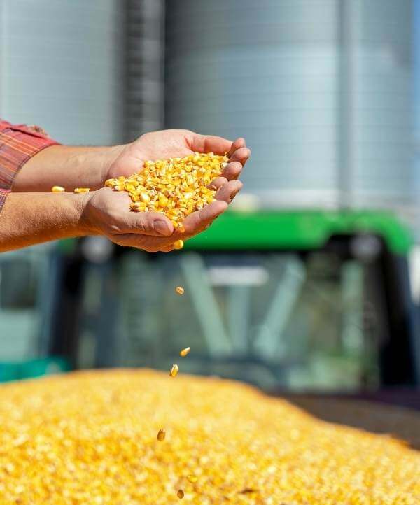 Indpro Engineering, Pune - corn grain handling