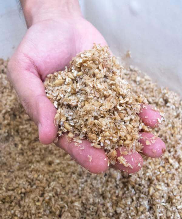 Indpro Engineering, Pune - Spent grain handling