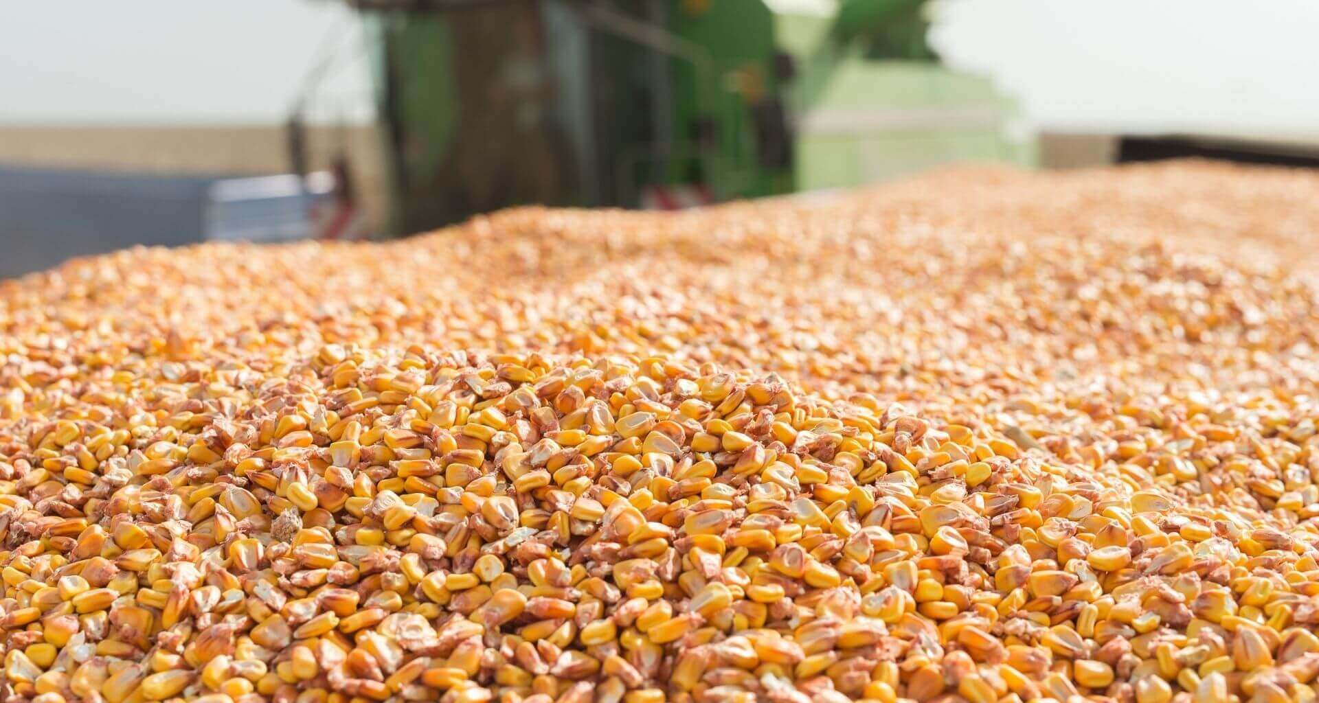 grain handling system